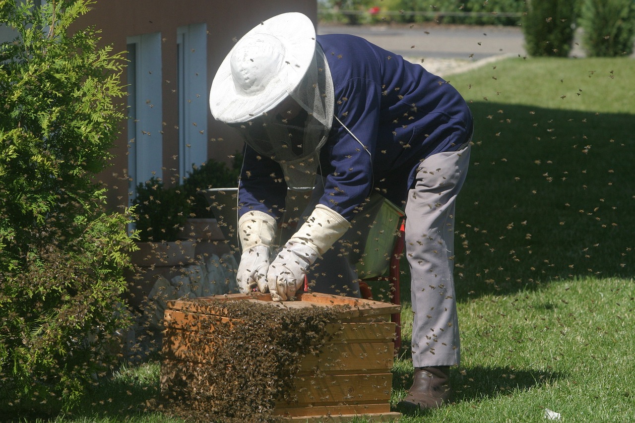a man that is standing in the grass with a beehive, a photo, usa-sep 20, old man doing hard work, rich detail, very professional