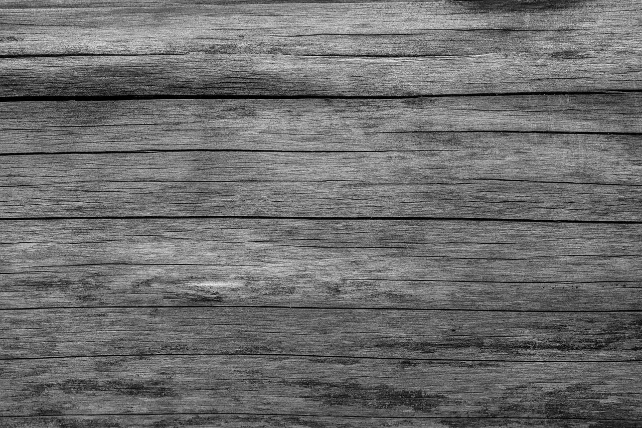 a black and white photo of a piece of wood, pexels, gray dull background, wooden parquet, bog oak, da vinci