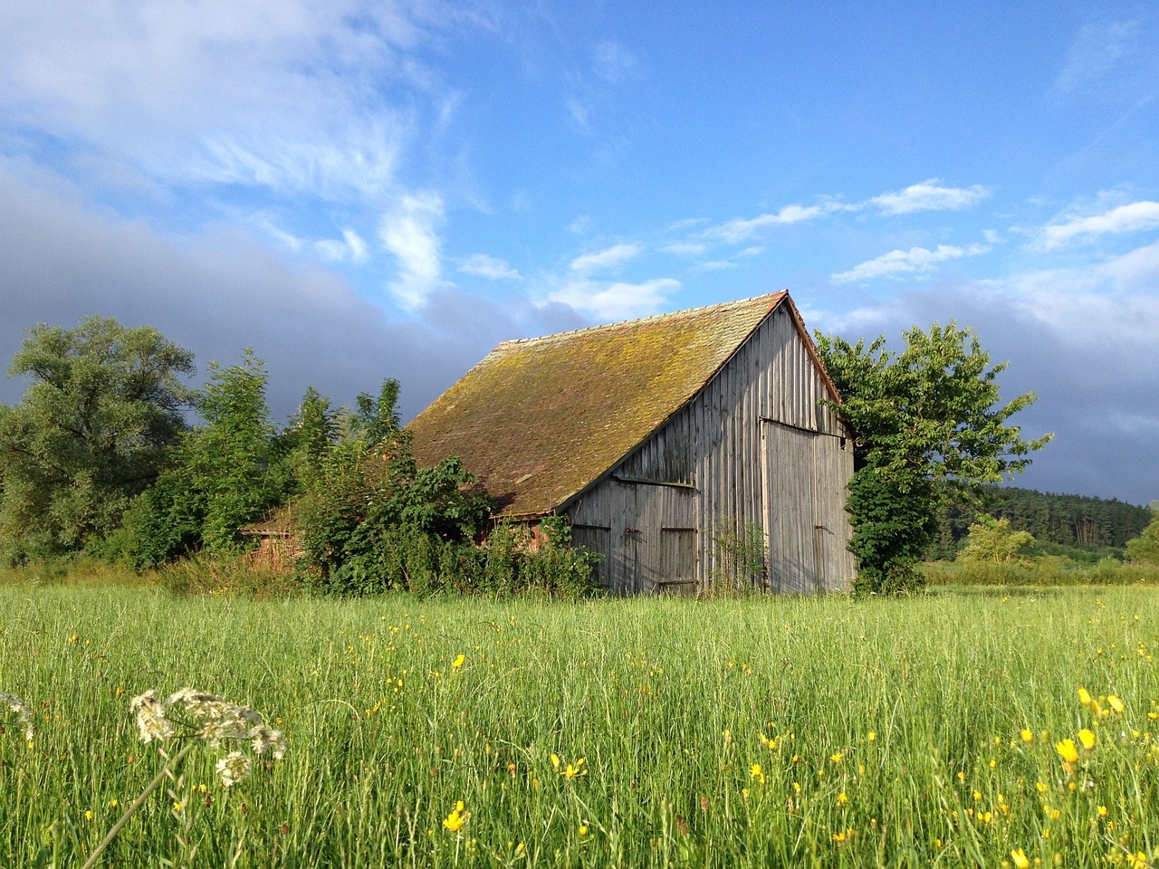 an old barn in a field of tall grass, by Karl Hagedorn, pixabay, renaissance, overgrown with flowers, summer morning light, alamy stock photo, beautiful tranquil day