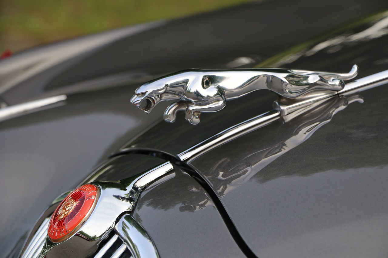 a close up of a car's hood ornament, by David Simpson, unsplash, photorealism, jaguar, 1950, pouncing, wing