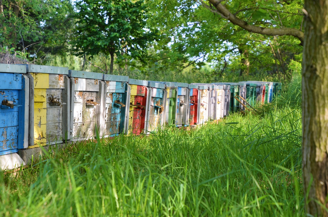 a row of colorful doors sitting on the side of a road, a picture, by Richard Carline, shutterstock, ecological art, hives, overgrown garden, letterboxing, shack close up