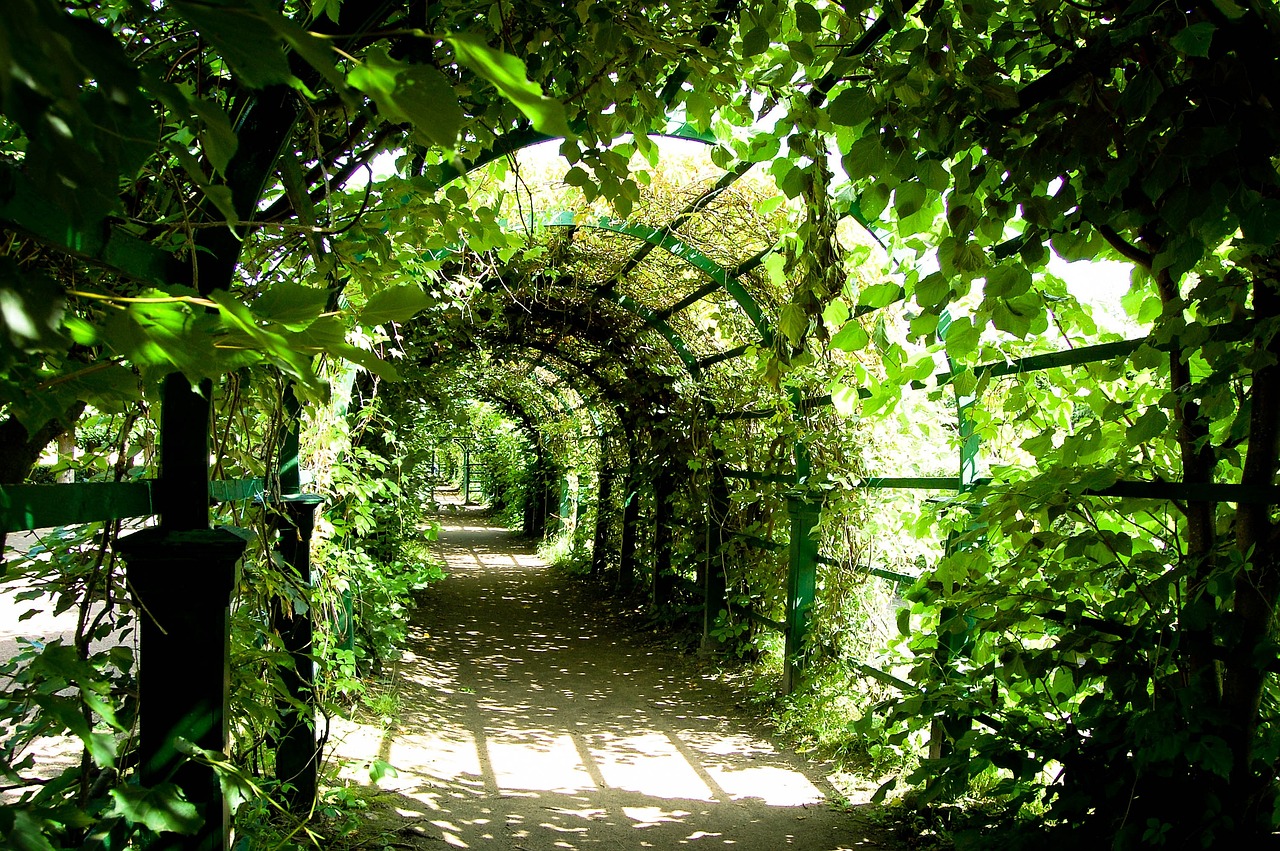 a walkway covered in lots of green plants, a photo, by Aleksander Gierymski, flickr, archway, masterpiece”