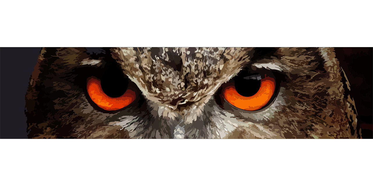 a close up of an owl with orange eyes, a digital painting, digital art, hd vector art, intimidating expression, bird\'s eye view, beautiful art uhd 4 k