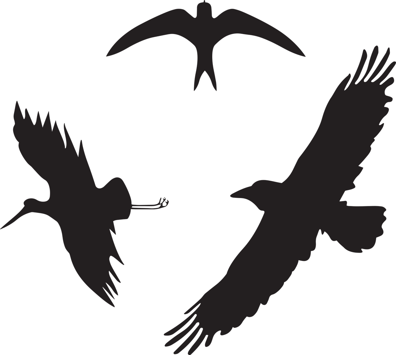 a couple of birds flying next to each other, an illustration of, inspired by Aldus Manutius, pixabay, hurufiyya, dark negative space, three birds flying around it, attack vector, zoomed out view