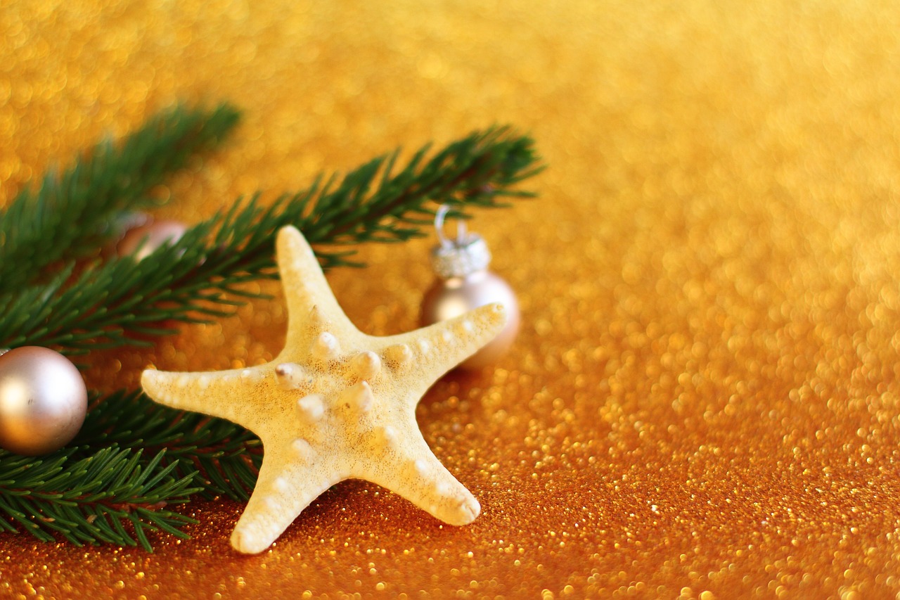 a starfish sitting on top of a christmas tree branch, a photo, gold background, miniature product photo, sandy colors, istockphoto