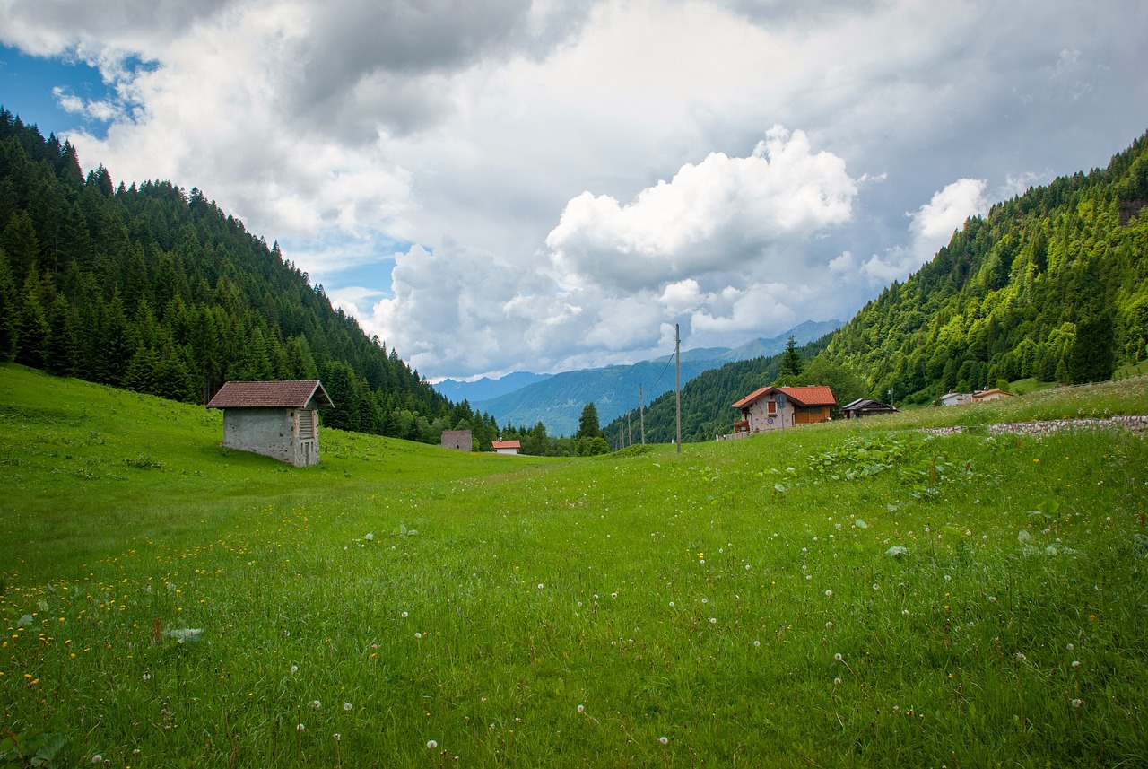 a grassy field with houses and mountains in the background, a picture, by Otto Meyer-Amden, shutterstock, meadow in the forest, abbondio stazio, on a cloudy day, ground view