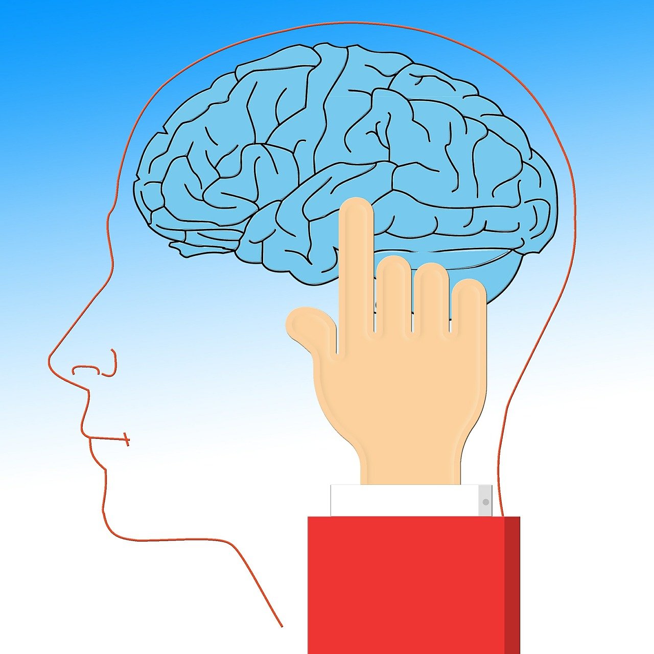 a hand pointing to a brain inside of a man's head, an illustration of, by Andrei Kolkoutine, conceptual art, with a blue background, simple and clean illustration, high detail of a hand, gesture dynamic