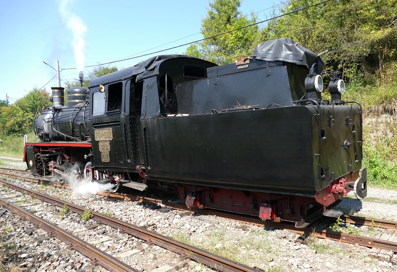 a black train traveling down train tracks next to a forest, figuration libre, preserved historical, side view of a gaunt, real engine, fully covered