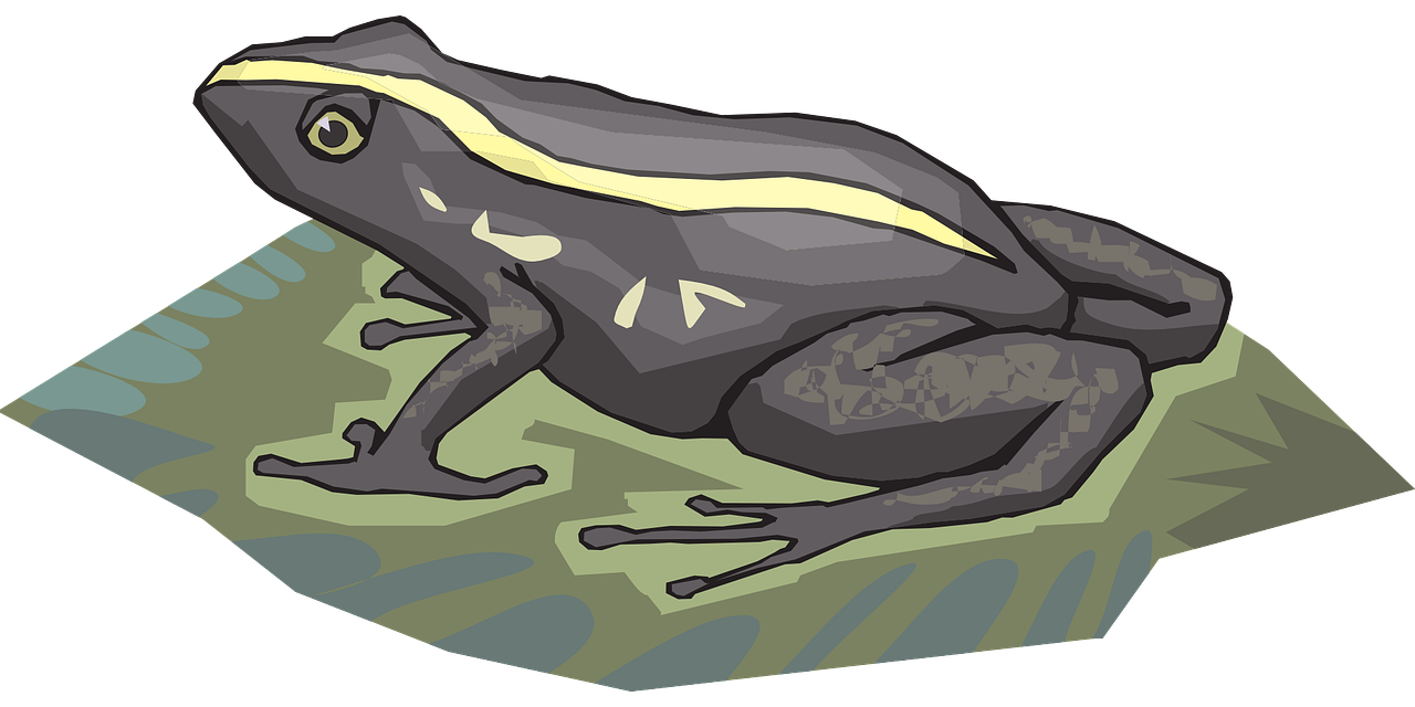 a black and yellow frog sitting on a leaf, an illustration of, by Maxwell Bates, pixabay, digital art, chauvet cave, crawling along a bed of moss, colored woodcut, cell shaded adult animation