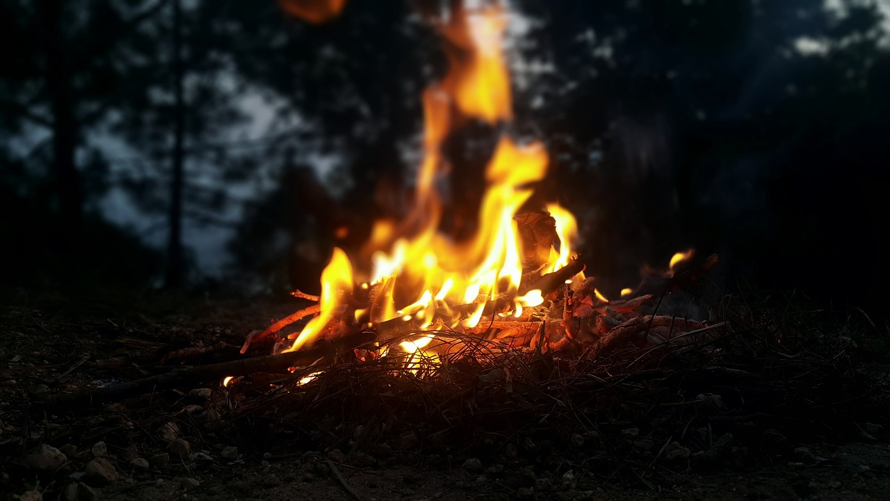 a fire in the middle of a field with trees in the background, pexels, romanticism, at a campfire in the forest, avatar image, low angle shot, closeup photograph