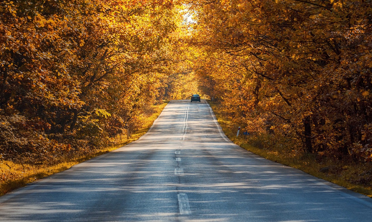 a car driving down a tree lined road, a photo, by Ivan Grohar, shutterstock, fine art, golden autumn, 1128x191 resolution, ukraine, light at the end of the tunnel