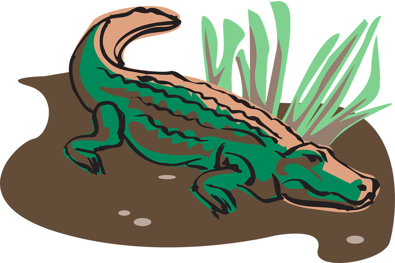 an image of a crocodile in the water, an illustration of, hurufiyya, wikihow illustration, on a black background, crawling on the ground, colored lineart