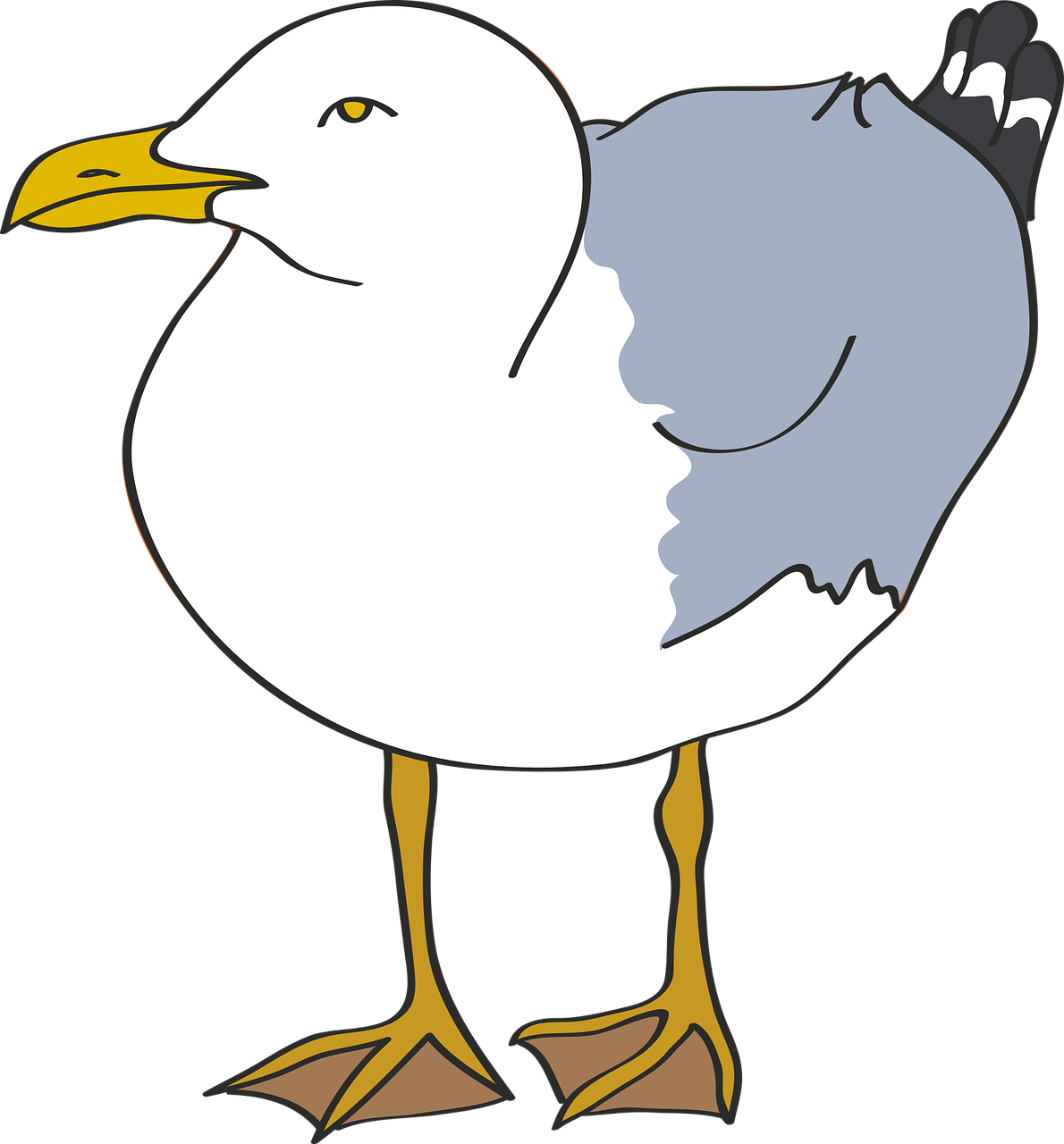 a close up of a seagull on a black background, an illustration of, mingei, fullbody photo, vectorised, funny illustration, photo photo