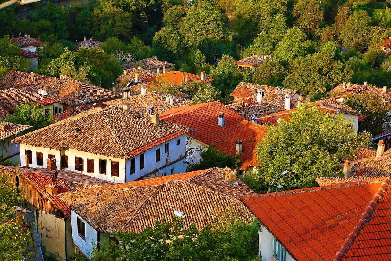 a group of houses sitting on top of a lush green hillside, by Orshi Drozdik, shutterstock, renaissance, roofing tiles texture, byzantine, late afternoon sun, eyes!