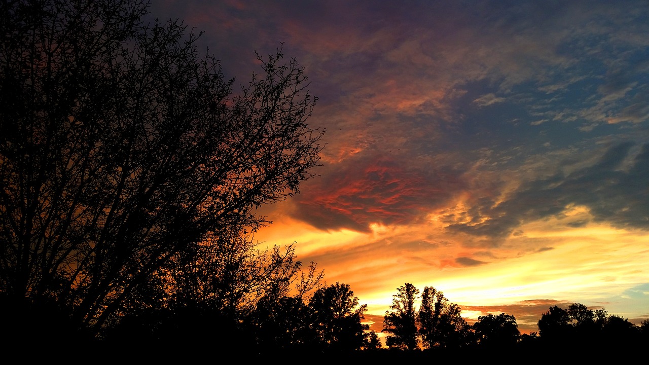 a sunset with clouds and trees in the foreground, flickr, romanticism, colorful swirly magical clouds, silhouette, cell phone photo, at sunset in autumn