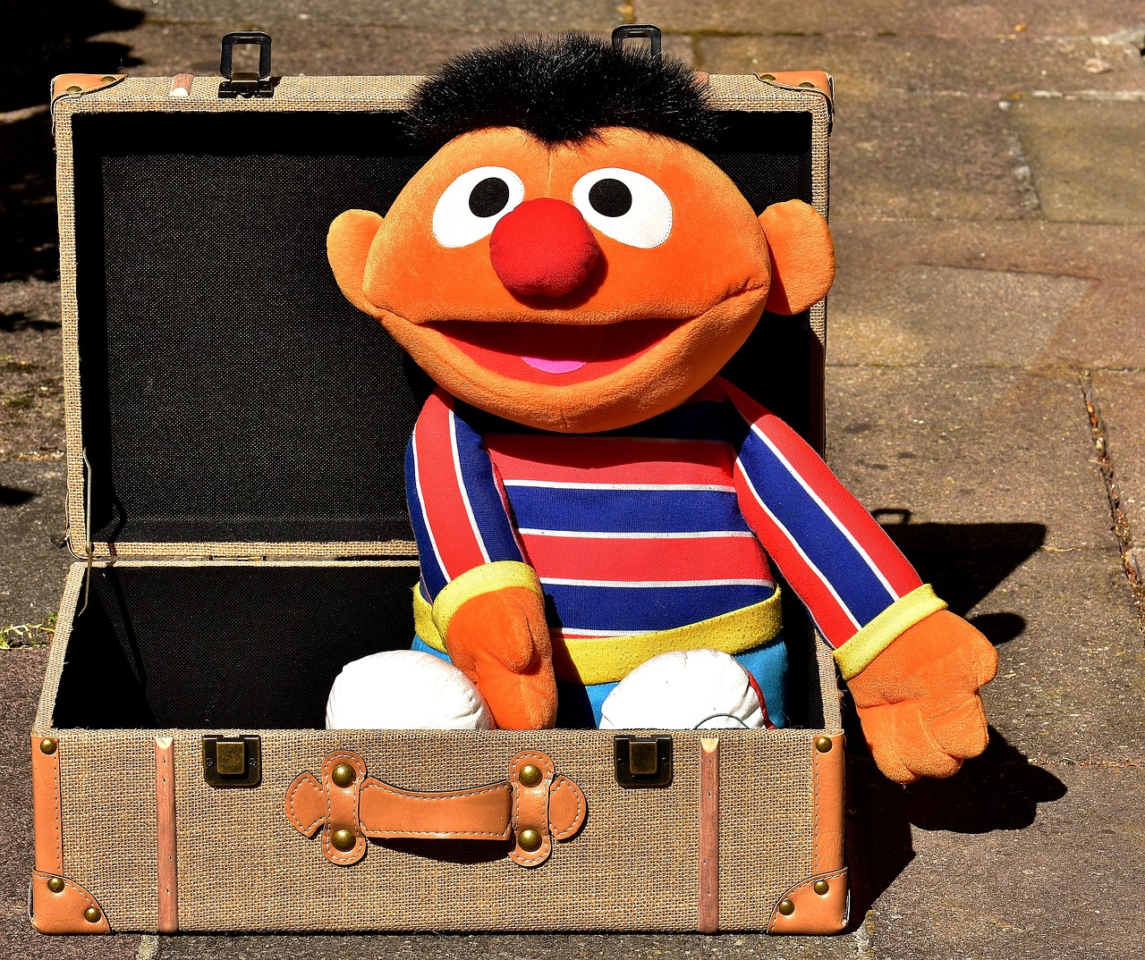 a stuffed animal sitting inside of a suitcase, a stock photo, by Edward Corbett, figuration libre, sesame street, mime, on a sunny day, hairy orange body