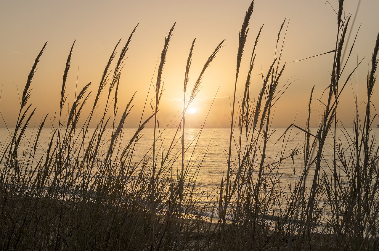 the sun is setting over a body of water, a picture, romanticism, there is tall grass, mediterranean beach background, high res photo, illinois
