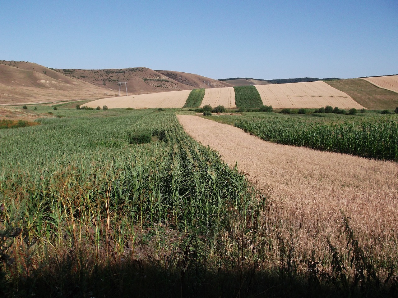 a field of crops next to a dirt road, flickr, land art, turkey, very accurate photo, wind river valley, author unknown