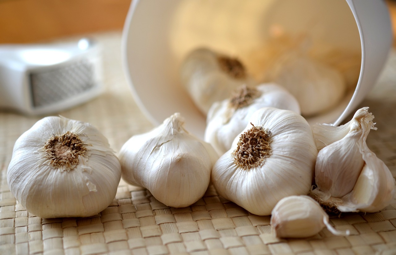 a bunch of garlic sitting on top of a table, a picture, by Tom Carapic, shutterstock, mortar and pestle, soft warm light, white haired, closeup photo