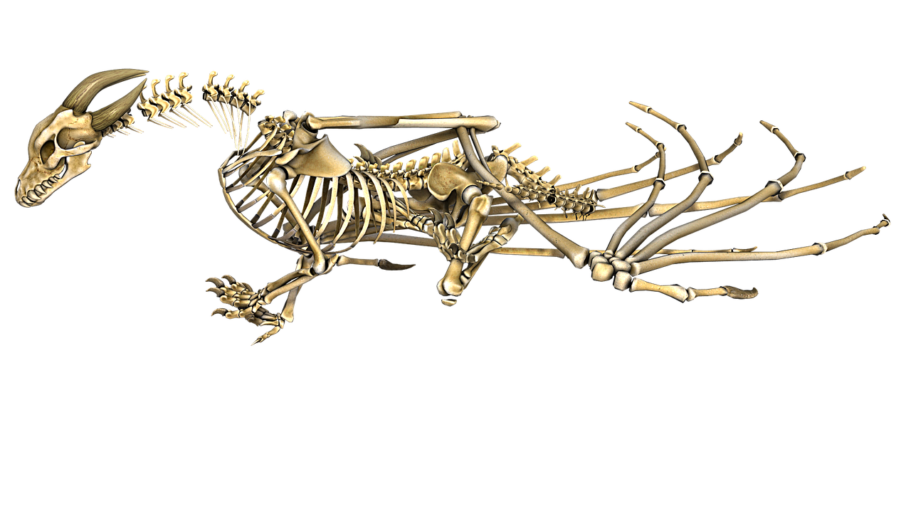 a skeleton of a dragon on a black background, a digital rendering, inspired by Earnst Haeckel, zbrush central, massurrealism, golden fish in water exoskeleton, river otter dragon, bones lying on the ground, metal art