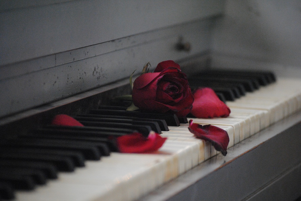 a rose sitting on the keys of a piano, a picture, by Robert Medley, tumblr, sensual and beautiful incubus, broken hearts, red roses at the top, on the altar