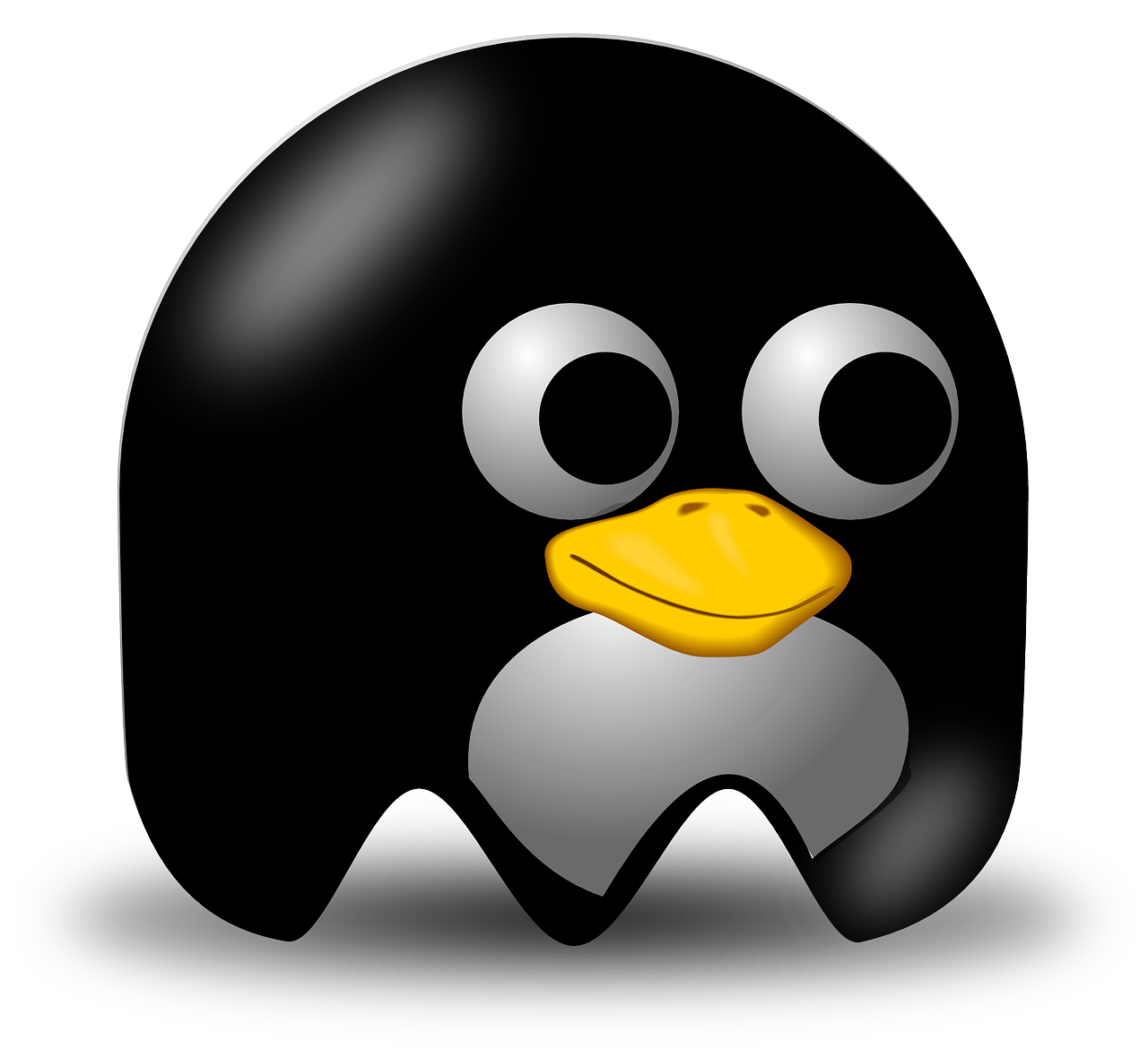 a black and white penguin with big eyes, vector art, by Aleksander Gierymski, reddit, computer art, slime, cap, rubber ducky, portlet photo