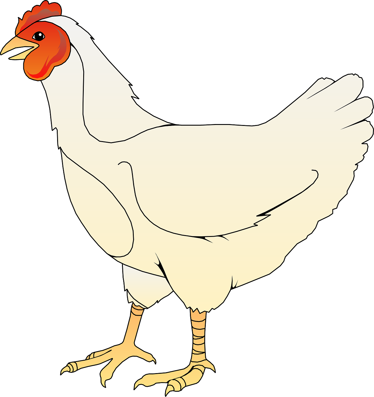 a close up of a chicken on a white background, an illustration of, full body pictures, illustration”, coloured line art, computer generated