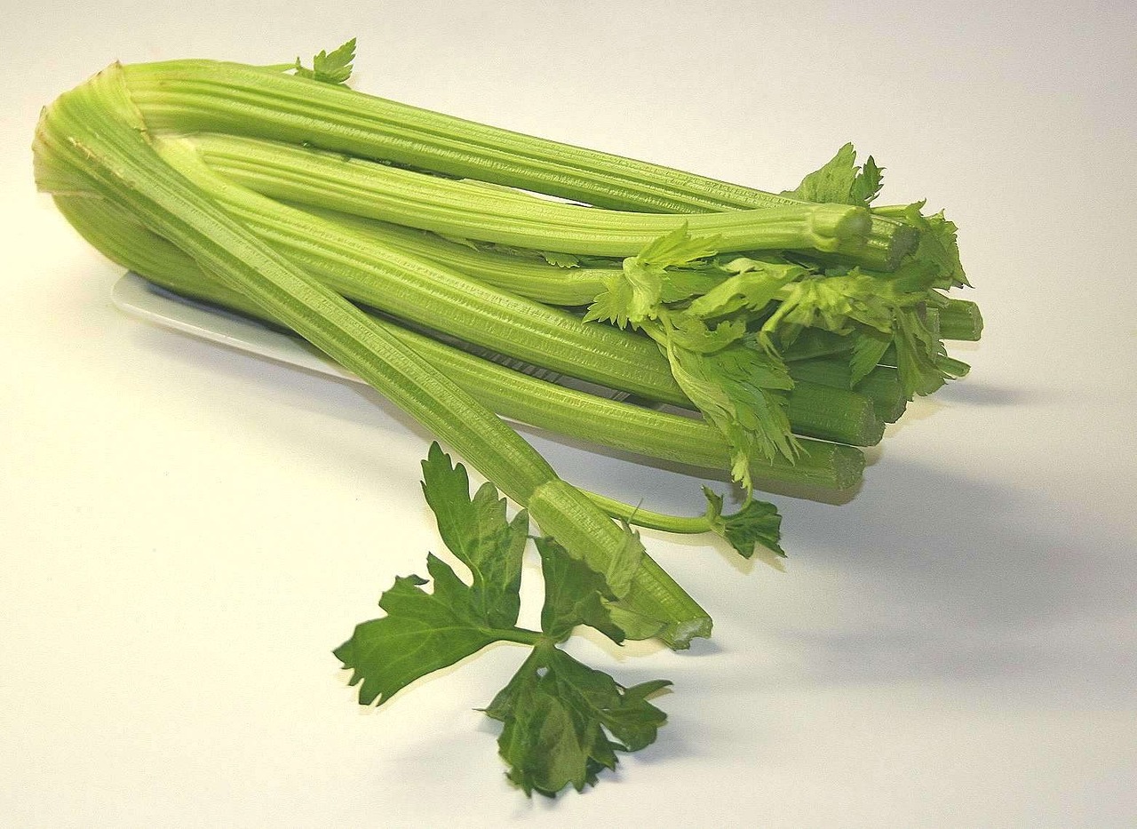 a bunch of celery sitting on top of a white plate, a picture, by Elmyr de Hory, renaissance, recipe, information, absinthe, cuts