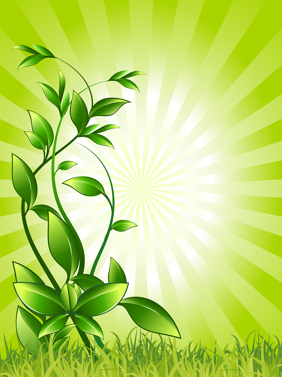 a plant with green leaves in front of a sunburst, ecological art, green tea, glossy design, breezy background, a beautiful artwork illustration