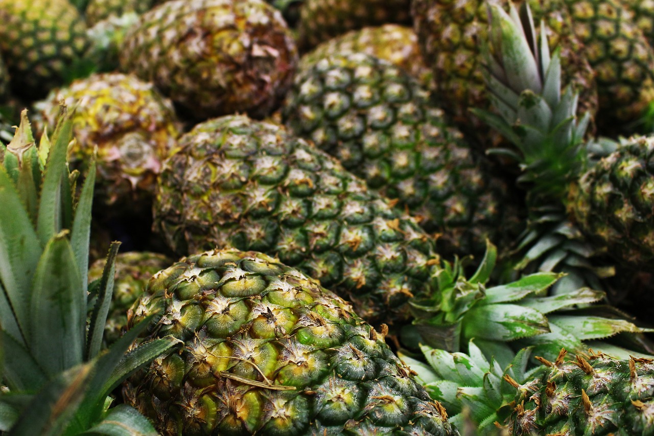 a pile of pineapples sitting on top of each other, green eays, avatar image, high quality product image”