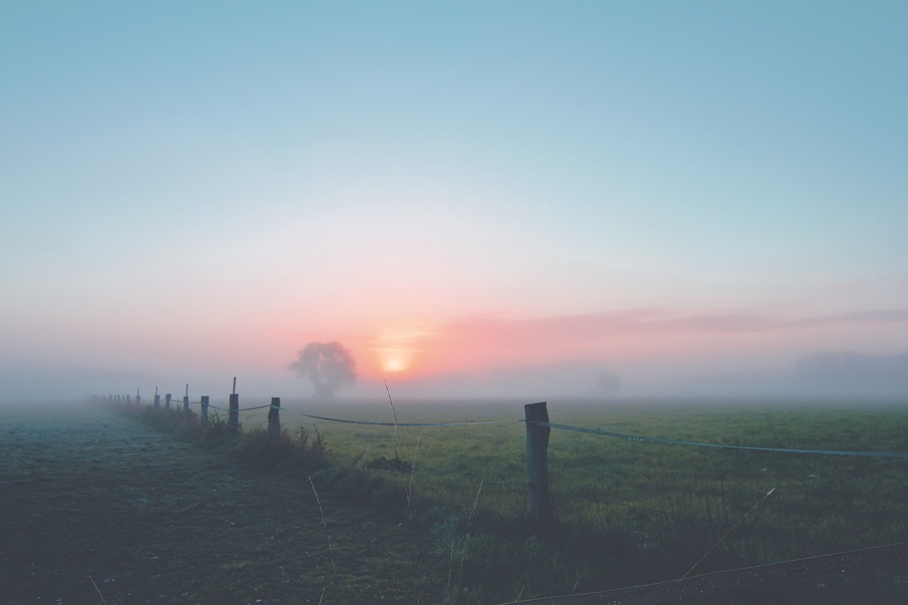 a foggy field with a fence in the foreground, a picture, pexels, romanticism, pastel colored sunrise, an open field, sun rising, subtle smile