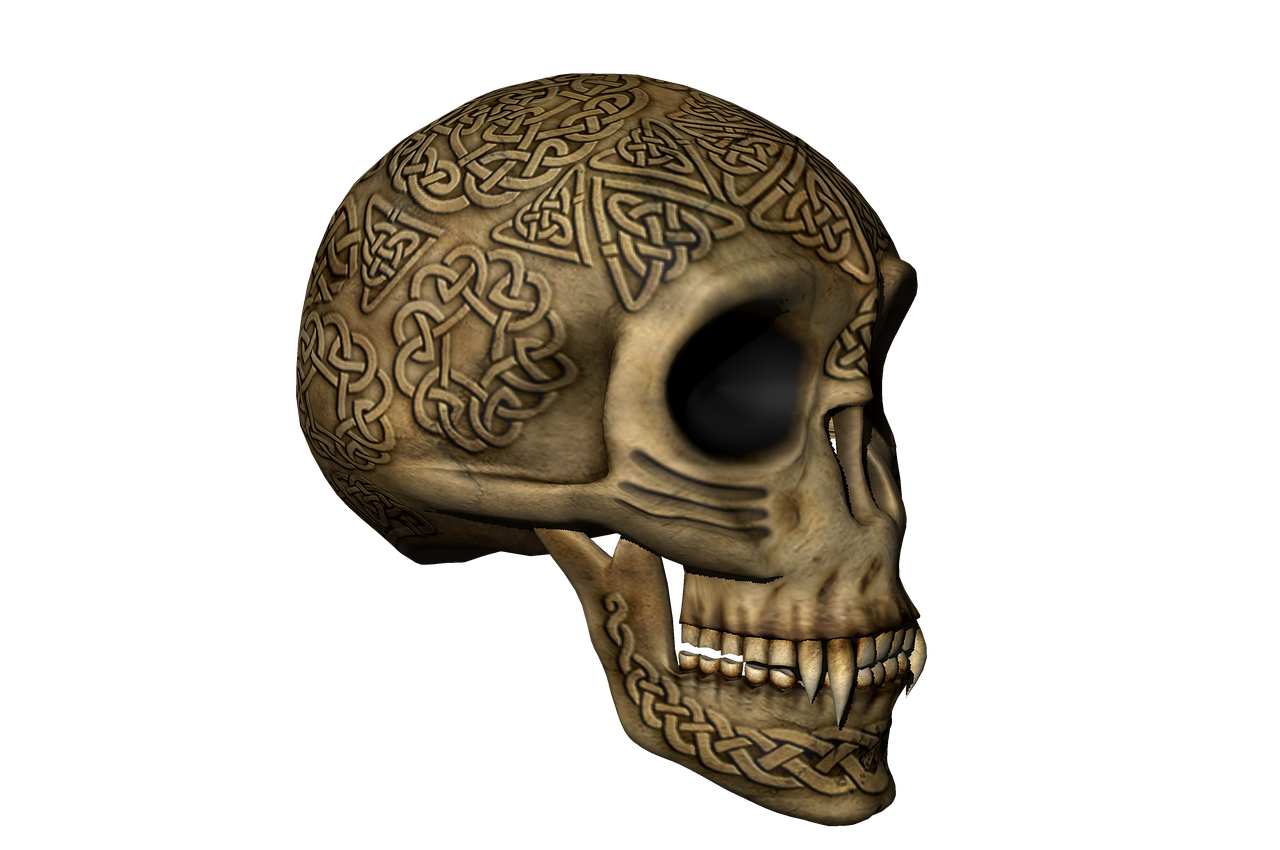 a close up of a skull on a black background, a digital rendering, inspired by Muirhead Bone, digital art, 3 d celtic knot, high res render, aztec, high detailed photo
