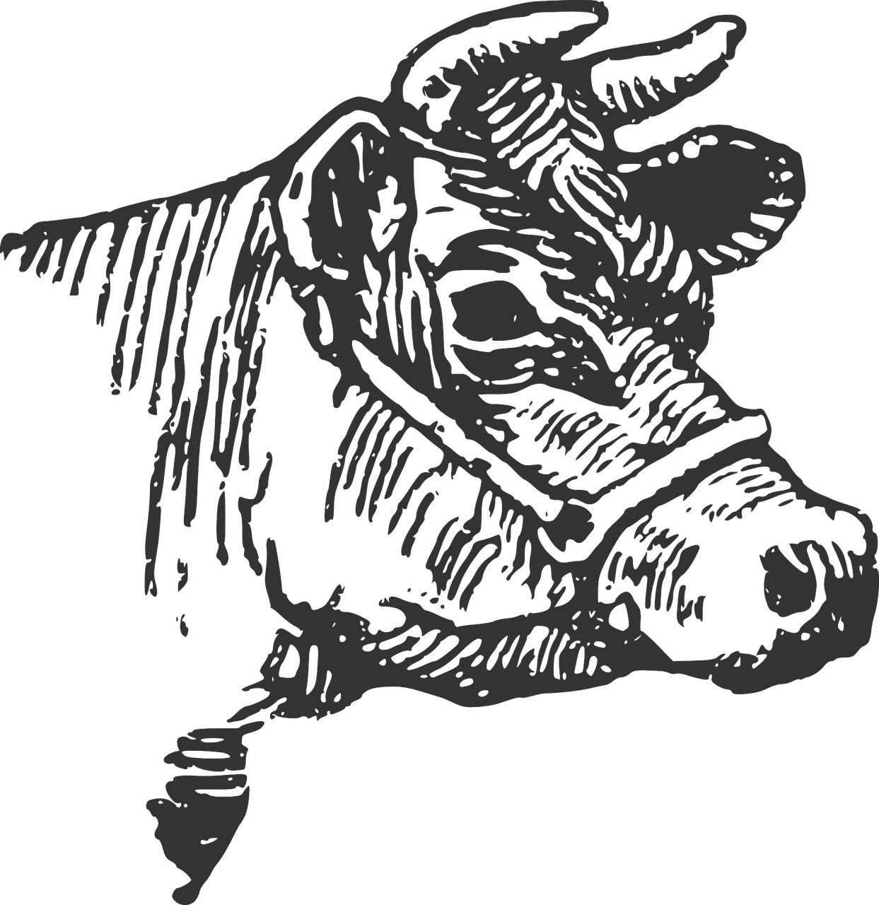 a black and white drawing of a cow, inspired by Giuseppe Bernardino Bison, trending on pixabay, ascii art, rhinoceros 3d, during the night, bronze - skinned, that resembles a bull\'s