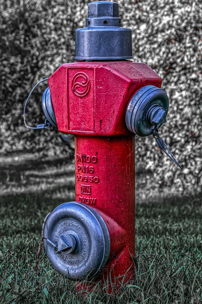 a red fire hydrant sitting on top of a lush green field, a colorized photo, by Arnie Swekel, flickr, graffiti, detailed texture, paws firm to the ground, small red lights, black steel with red trim