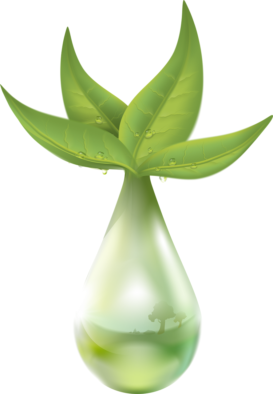 a green vase with a plant inside of it, inspired by Luigi Kasimir, deviantart, tear drop, avatar image, datura, liquid light