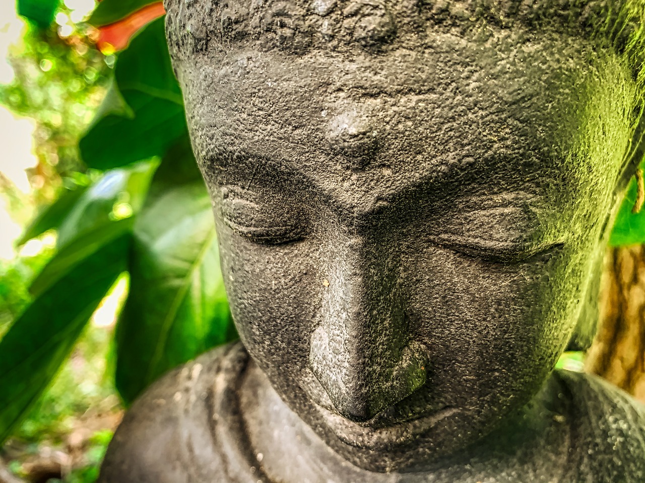 a close up of a statue of a person, a statue, concrete art, zen feeling, lush green, south east asian with round face, vibrant setting