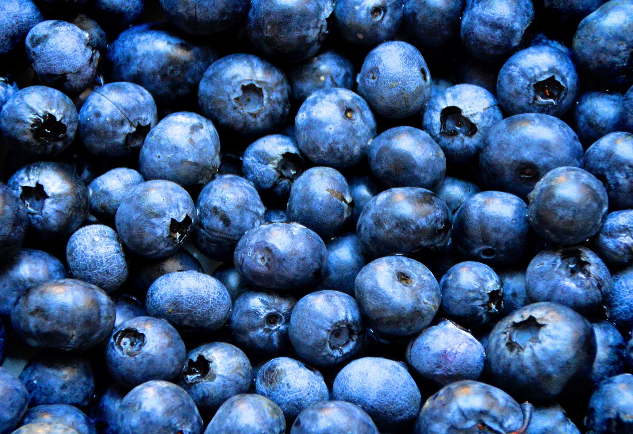 a close up of a bunch of blueberries, a stock photo, by Paul Emmert, pexels, textless, berries inside structure, professionally post - processed, professionally post-processed