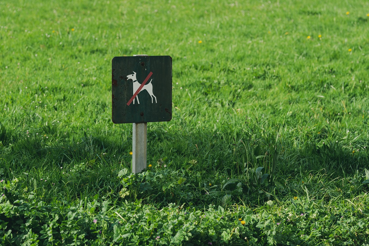 a black and white sign sitting on top of a lush green field, excessivism, subject: dog, deers, forbidden, against dark background