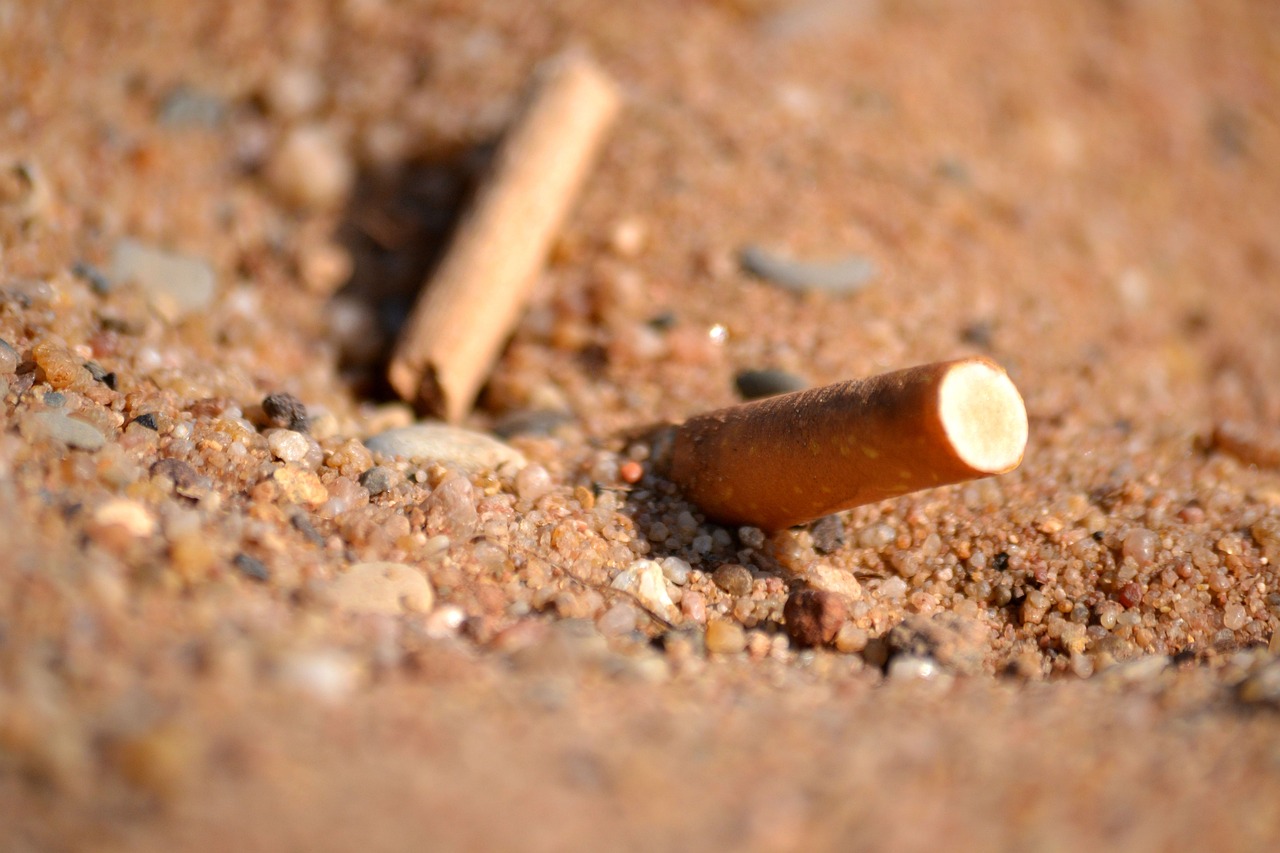 a cigarette sitting on top of a sandy ground, a macro photograph, inspired by William Harnett, unsplash, land art, tiny sticks, brick debris, sand color, animation still