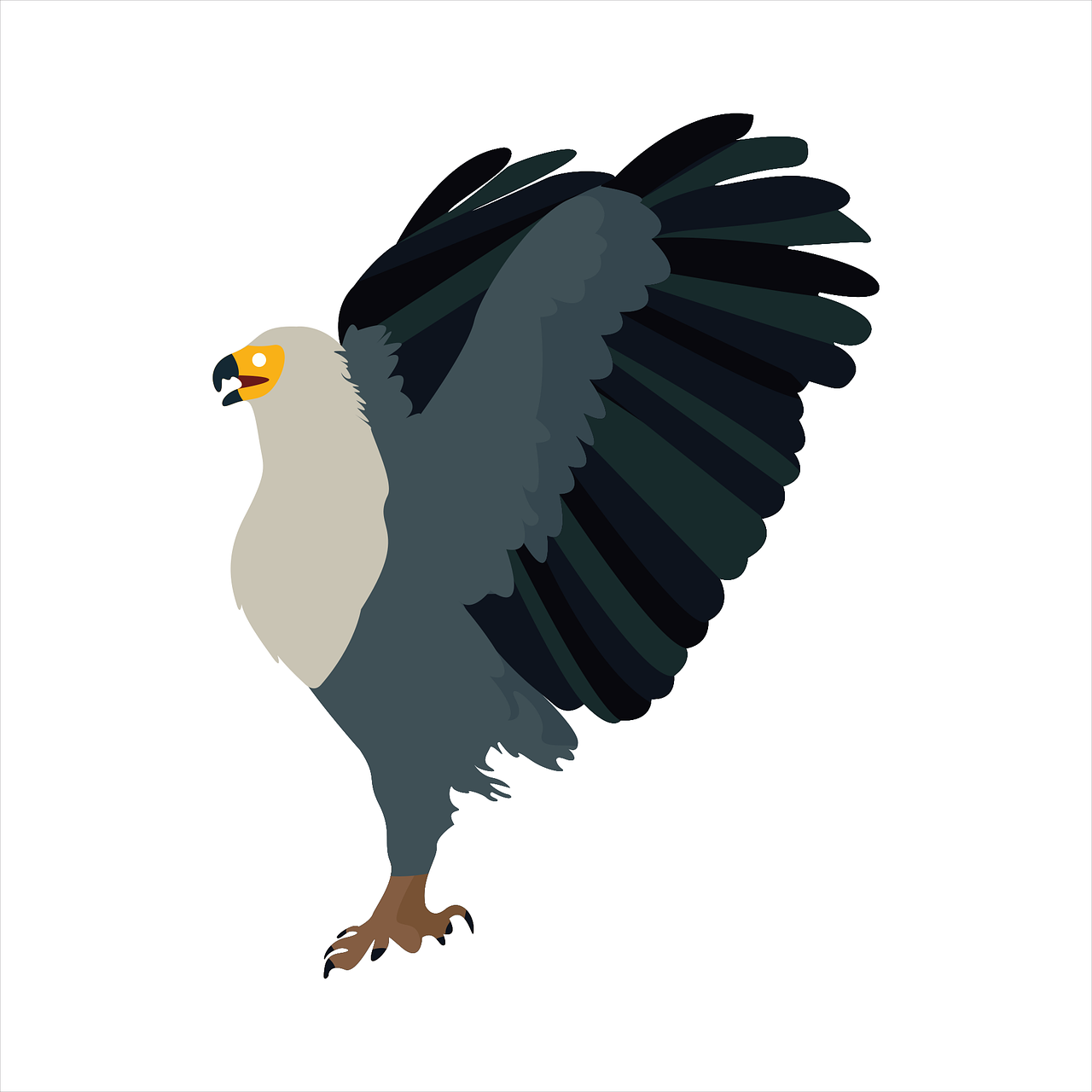 a close up of a bird of prey on a white background, an illustration of, bauhaus, shaded flat illustration, black aarakocra eagle warlord, birdseye view, tail raised