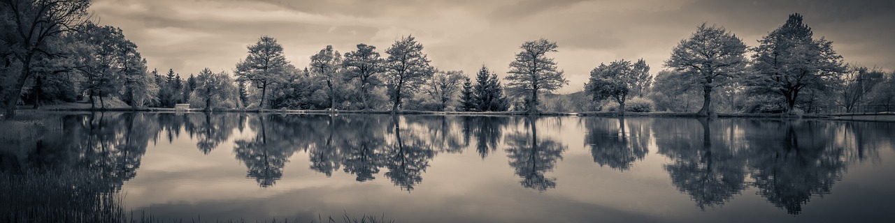 a black and white photo of a lake surrounded by trees, a black and white photo, flickr, tonalism, cotton candy trees, beautiful rtx reflections, sepia colors, symmetrical beautiful