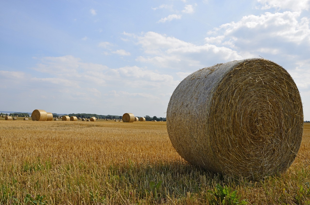 a large bale of hay sitting in the middle of a field, a picture, high quality product image”