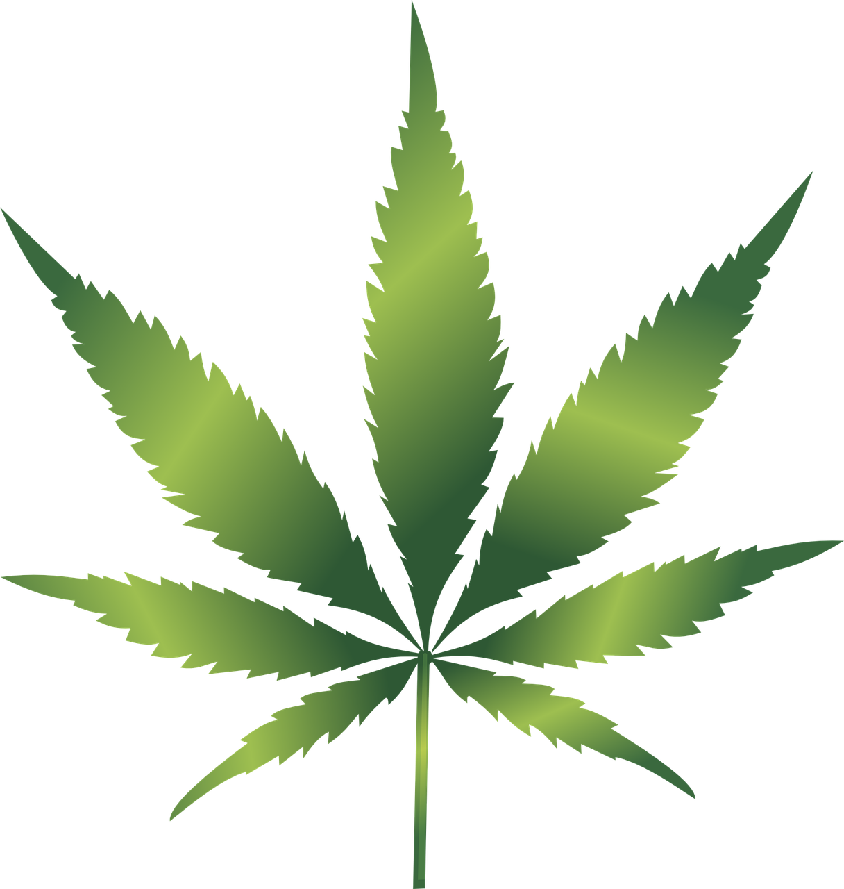 a marijuana leaf on a black background, inspired by Mary Jane Begin, ¯_(ツ)_/¯, gradient from green to black, -h 1024, various posed
