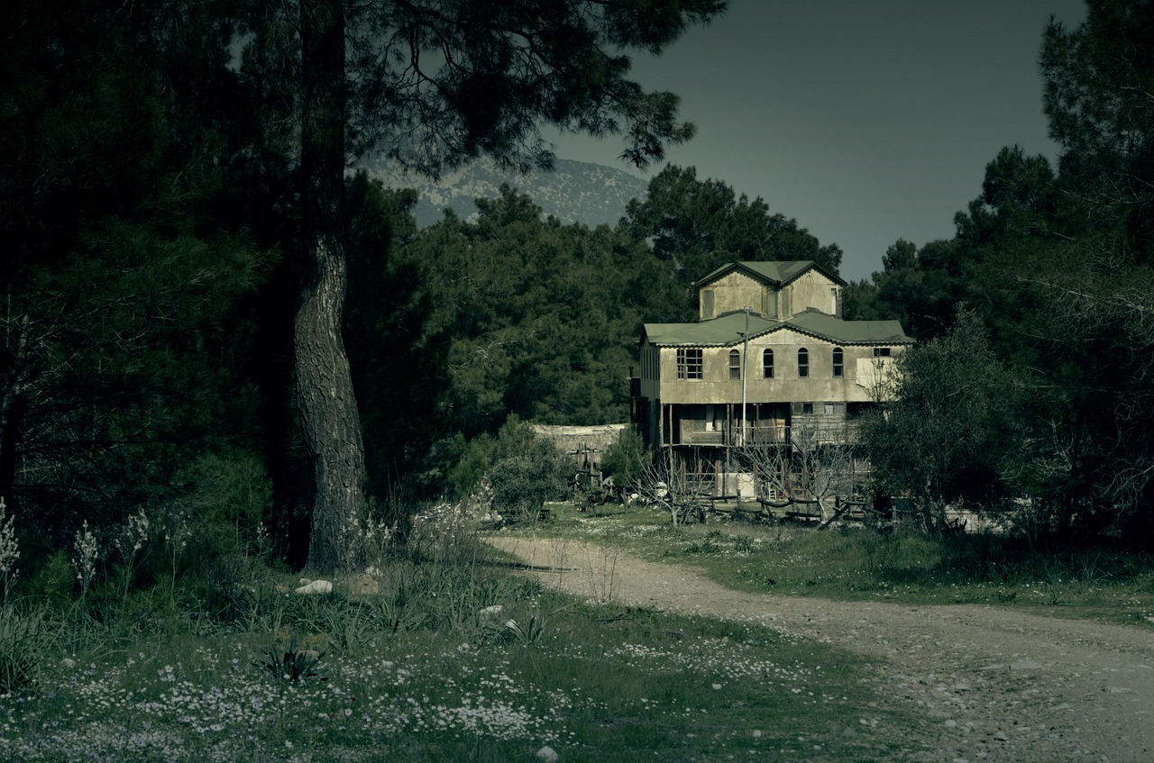 a house sitting on the side of a dirt road, a detailed matte painting, by Demetrios Farmakopoulos, flickr, scary pines, turkey, old photo style, hospital