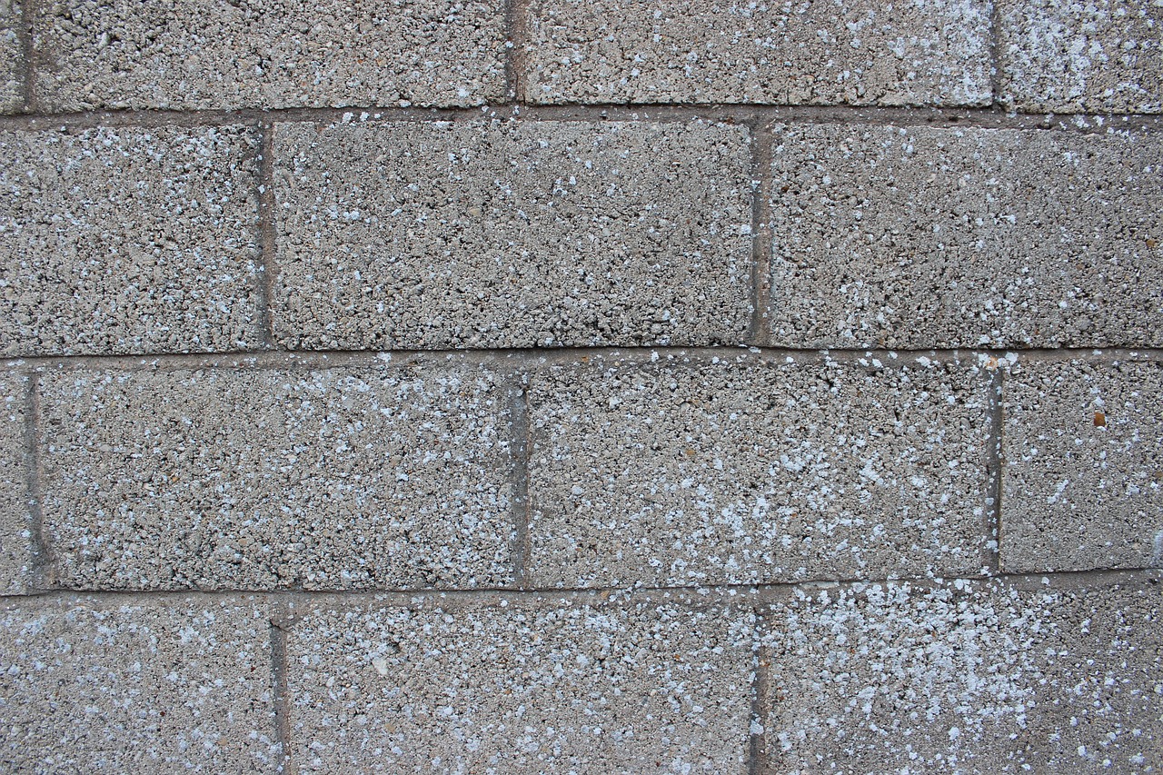 a red fire hydrant sitting in front of a brick wall, by Kathleen Scott, strong eggshell texture, gray mottled skin, detailed zoom photo, cinder blocks