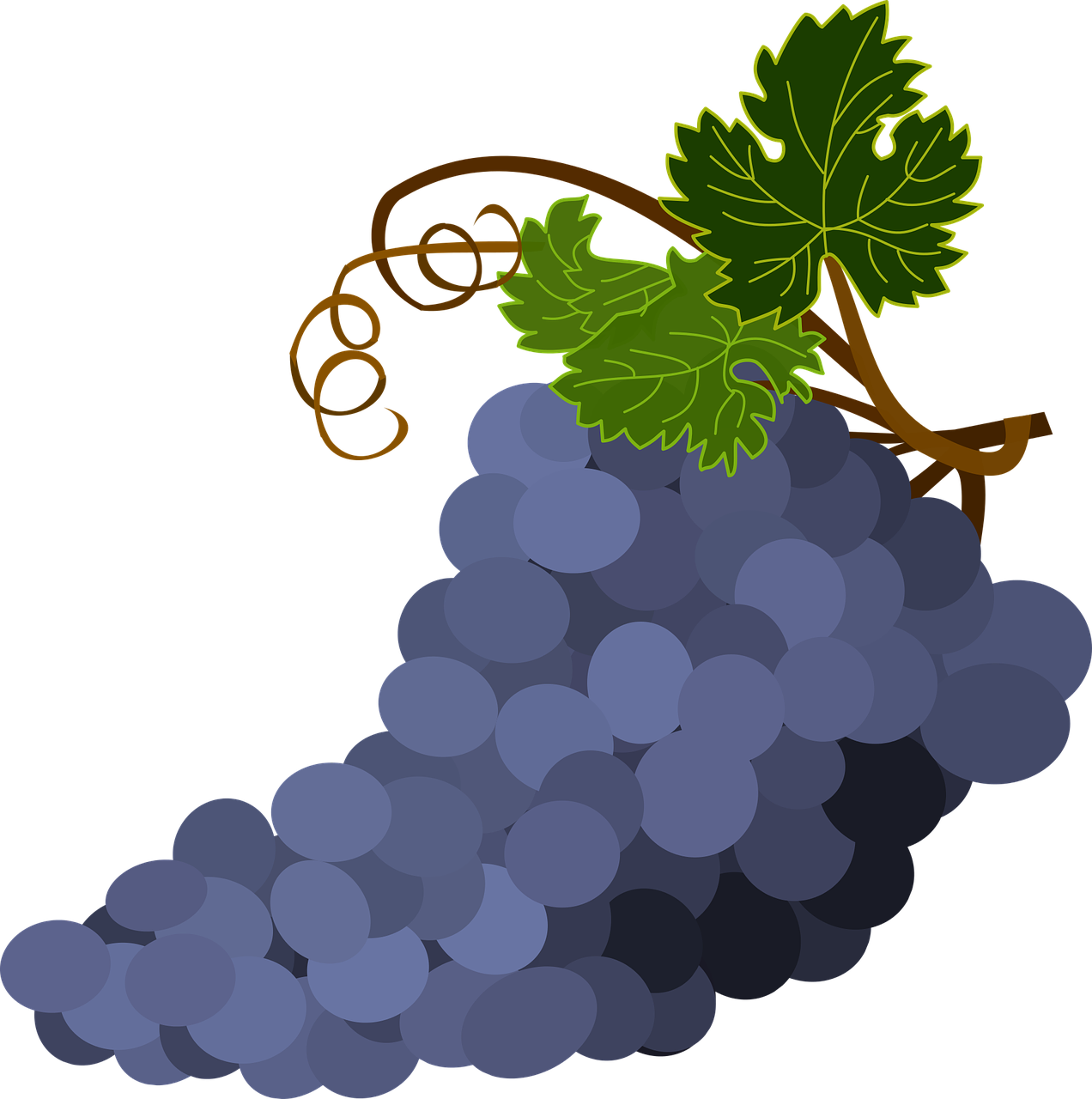 a bunch of grapes sitting on top of a table, a digital rendering, inspired by Masamitsu Ōta, art nouveau, !!! very coherent!!! vector art, profile close-up view, made in paint tool sai2, portfolio illustration