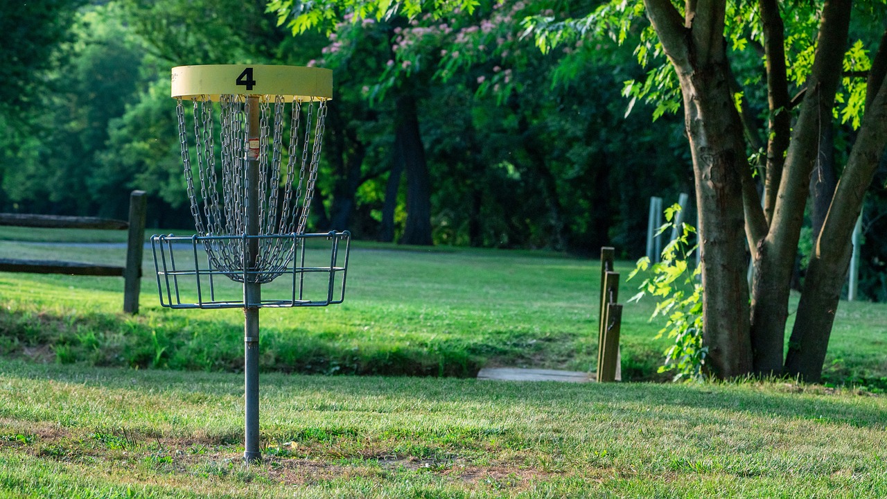 a close up of a frisbee golf basket in the grass, by Adam Manyoki, pixabay contest winner, net art, long shot from back, cleveland, afternoon lighting, with a park in the background