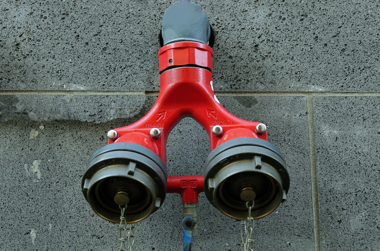 a red fire hydrant attached to a brick wall, empty eye sockets, watch photo, very symmetrical, behaelterverfolgung