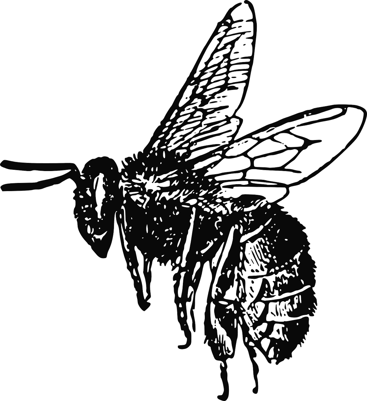 a black and white silhouette of a bee, a raytraced image, by Andrei Kolkoutine, reddit, hurufiyya, nighttime, faded outline, loadscreen, stipple