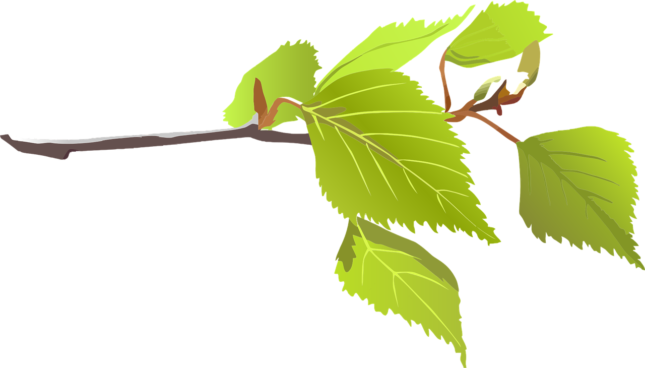 a branch of a tree with green leaves, a digital rendering, inspired by Masamitsu Ōta, hurufiyya, birch, raspberry, animation still, vectorised